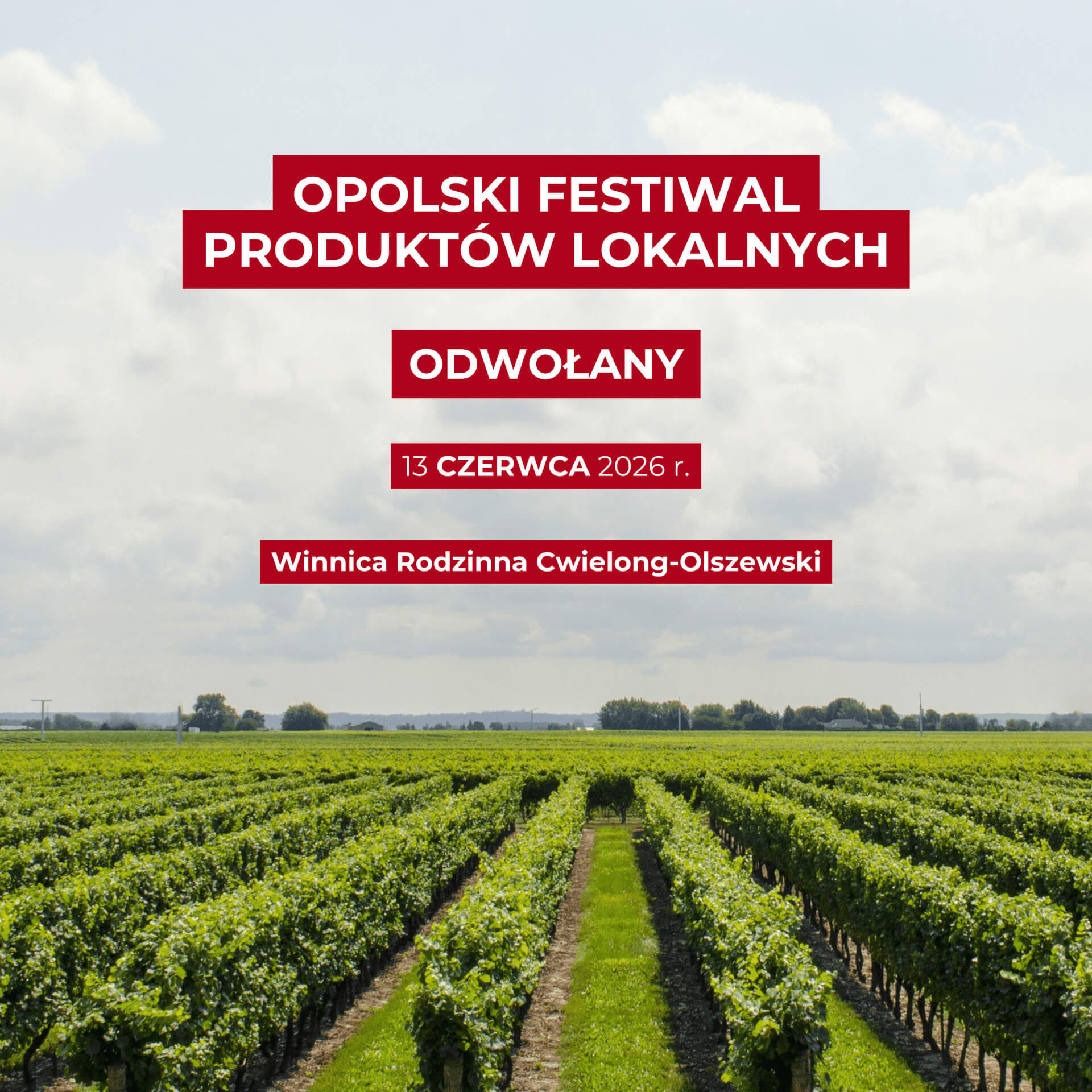 Winnica Rodzinna Cwielong-Olszewski